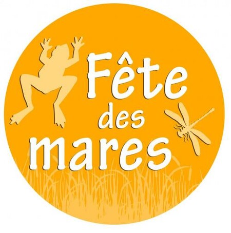 logo FDM