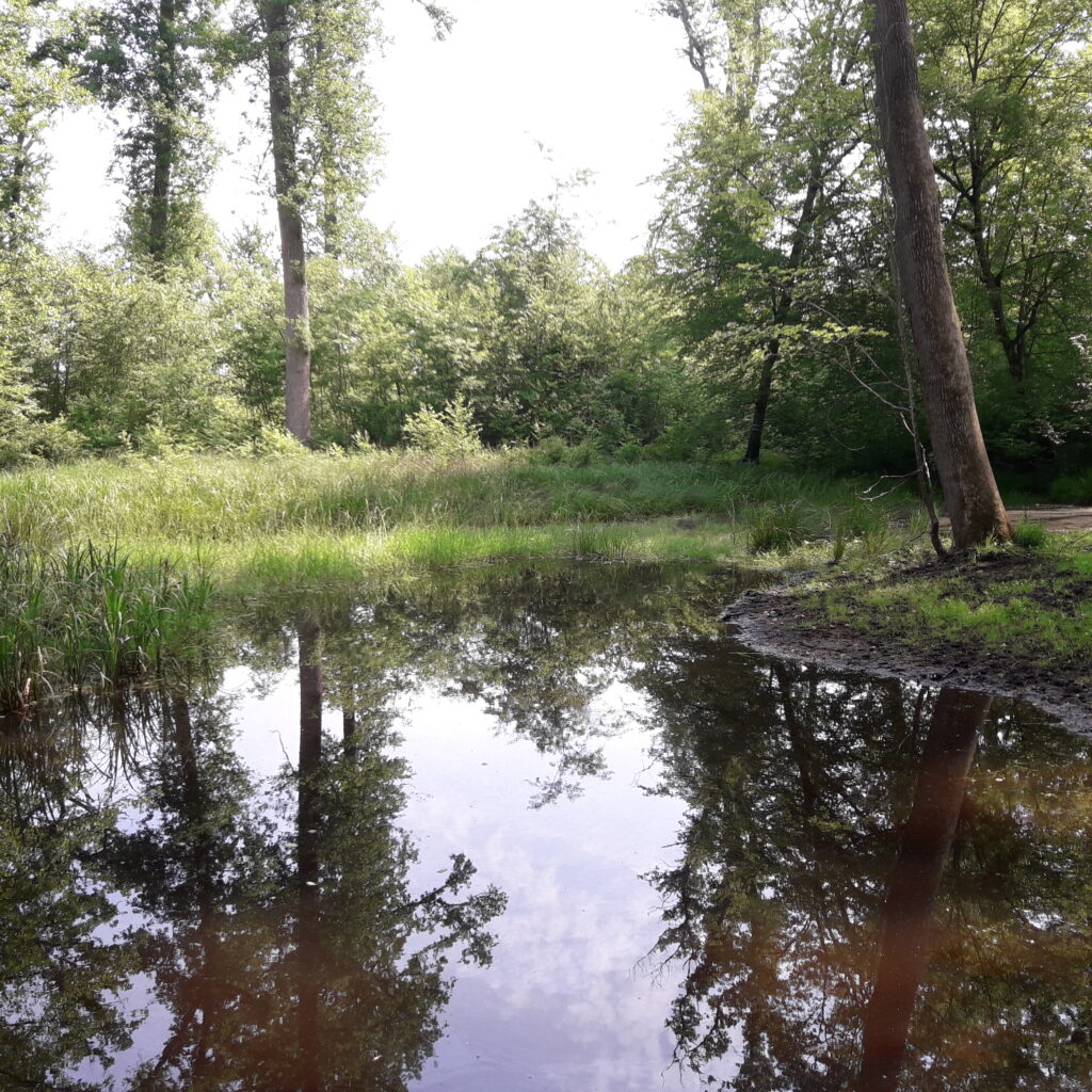proximité arbres @ onf