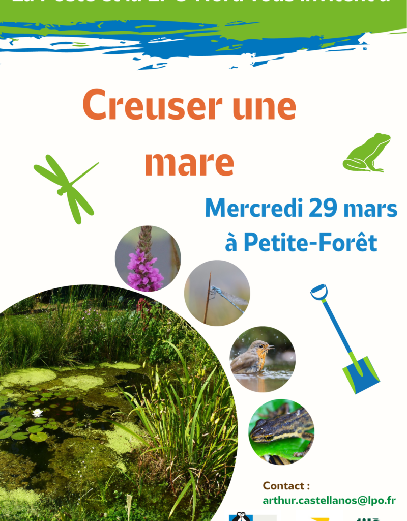 affiche mare