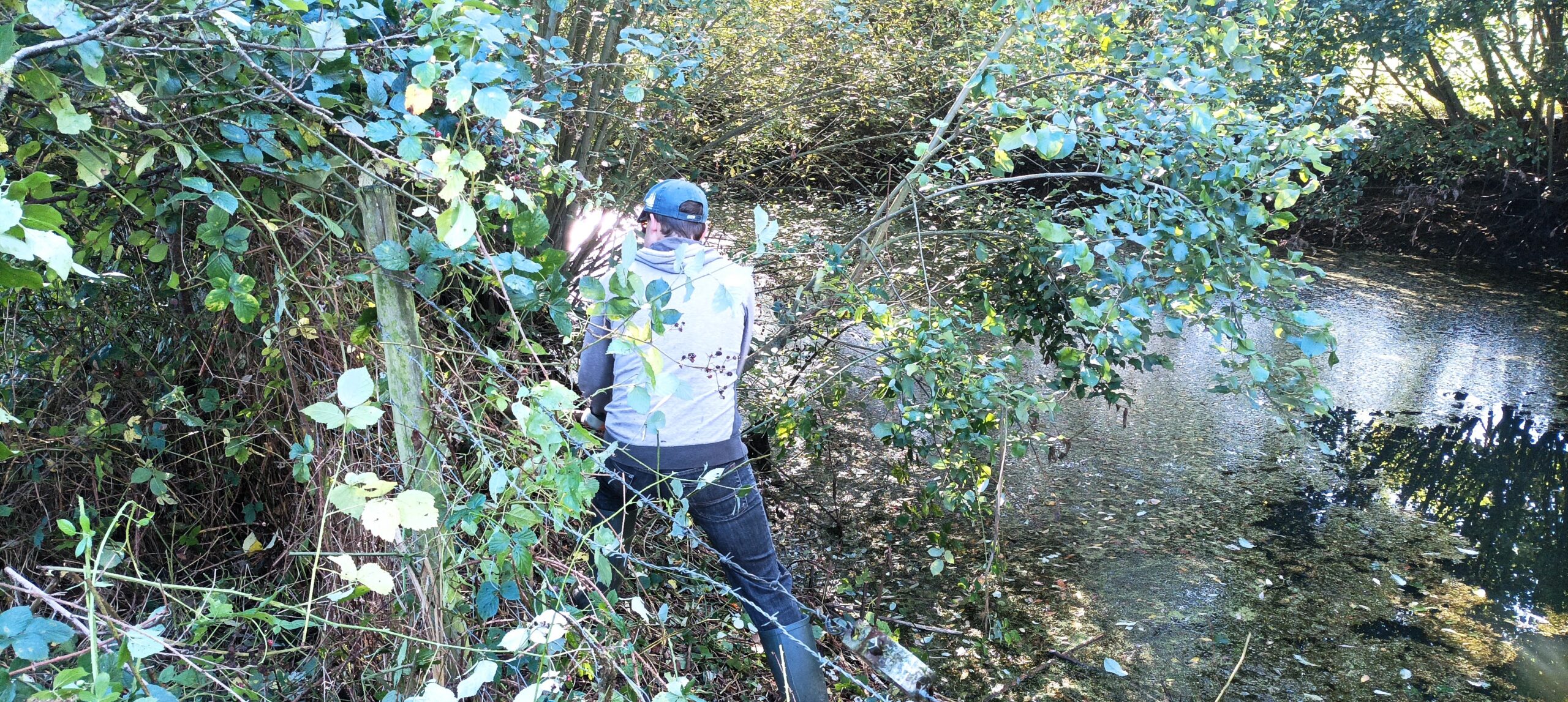 L’association Les Blongios œuvre pour la préservation des espaces naturels du Nord et du Pas-de-Calais. Depuis 2020, elle accompagne aussi les agriculteurs vers des pratiques respectueuses du vivant.