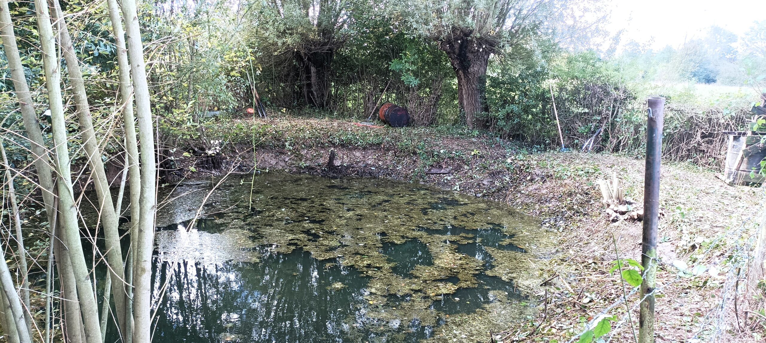 Mare de ferme à Le Favril (Nord) : grâce aux chantiers nature financés par le programme Biodiversité de la Fondation Terre de Liens, des groupes de bénévoles participent à la restauration des mares d'une ferme Terre de Liens.