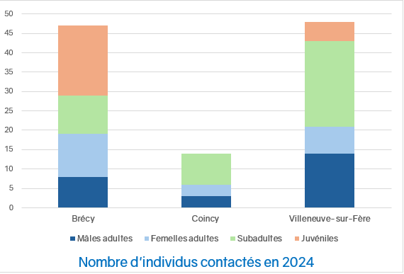 Nombre d'individus de Sonneur à ventre jaune contactés en 2024 à Brécy, Coincy et Villeneuve-sur-Fère (Aisne)