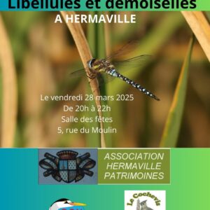 flyer conference libellules 1086x1536