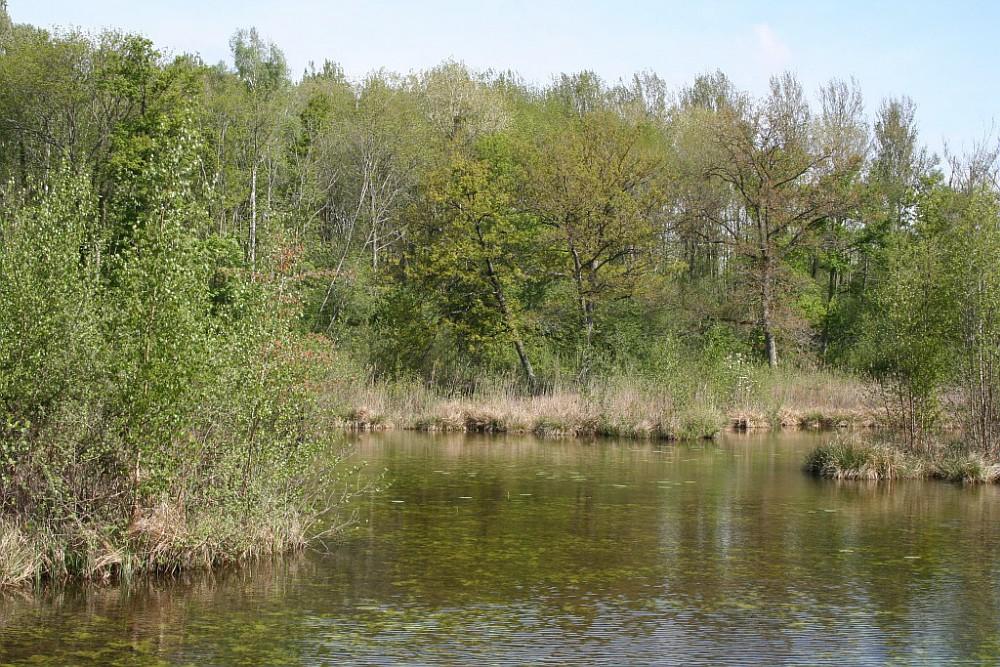 cenp 002317