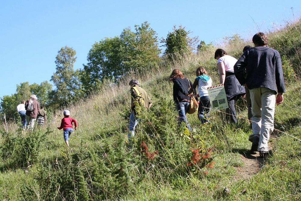 cenp 056366 0