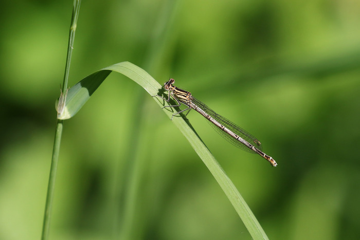 c8e31f05bb81477586ebdda54736cf9b.base.image