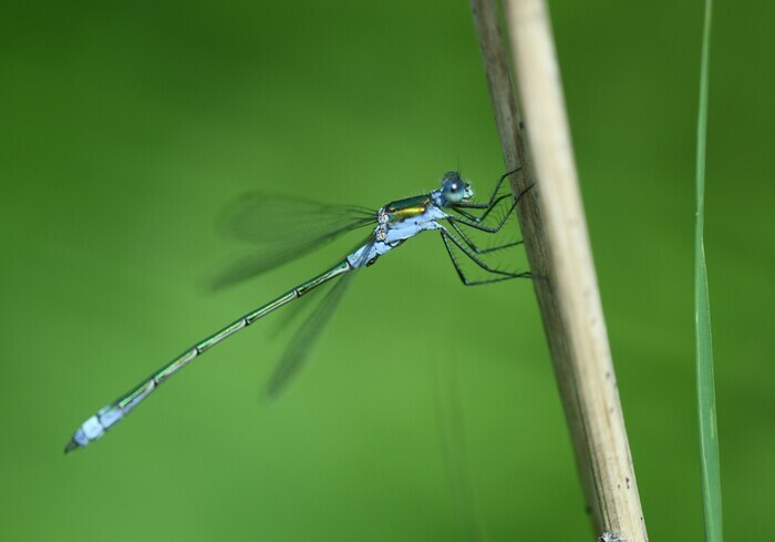 f7d2384133874167a31634b59430bd61.base.image
