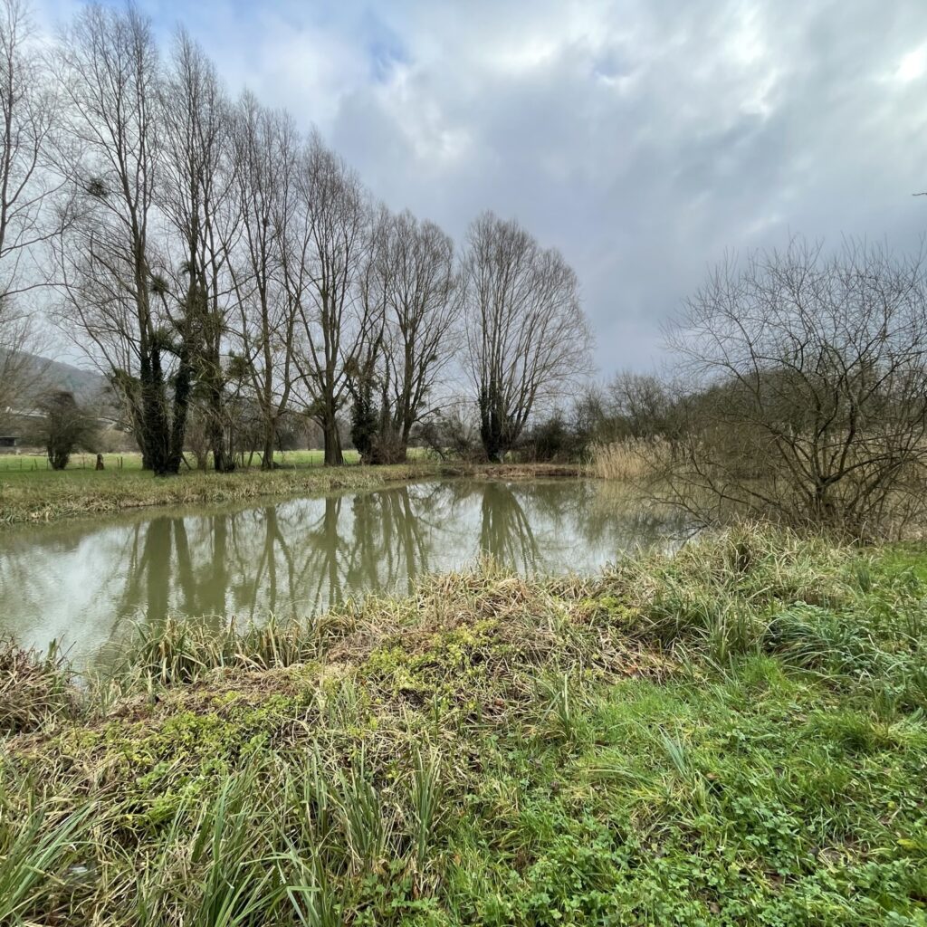 inval boiron nathalie delatre cen