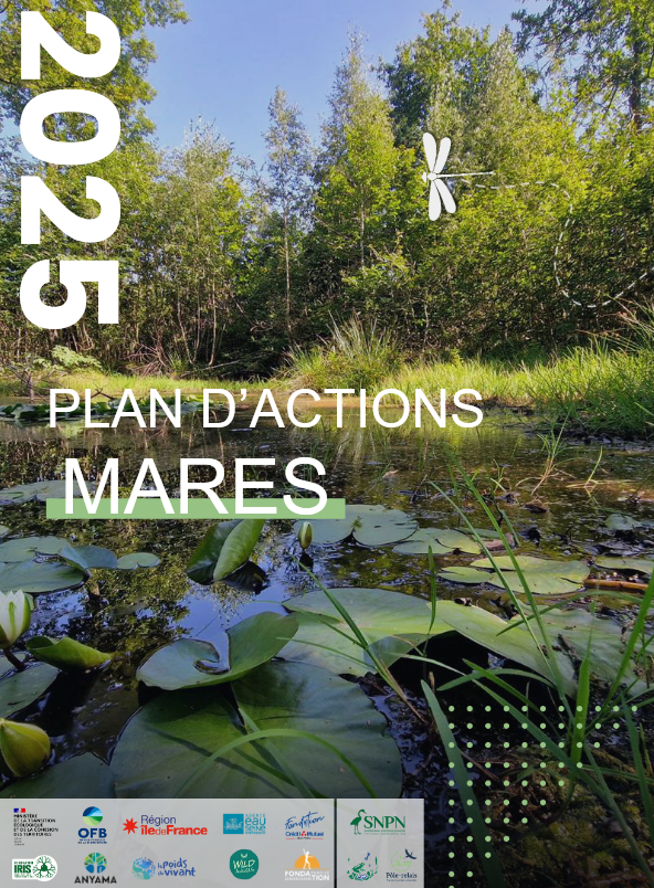 Plan d’Actions Mares (PAM) : une stratégie nationale pour les mares d’ici 2030