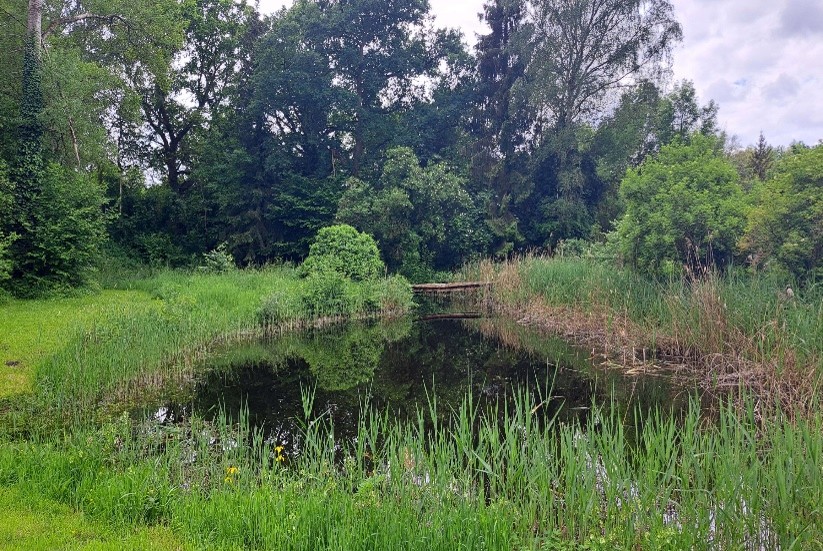 mare d’etouvelles (02) coup de cœur 2024