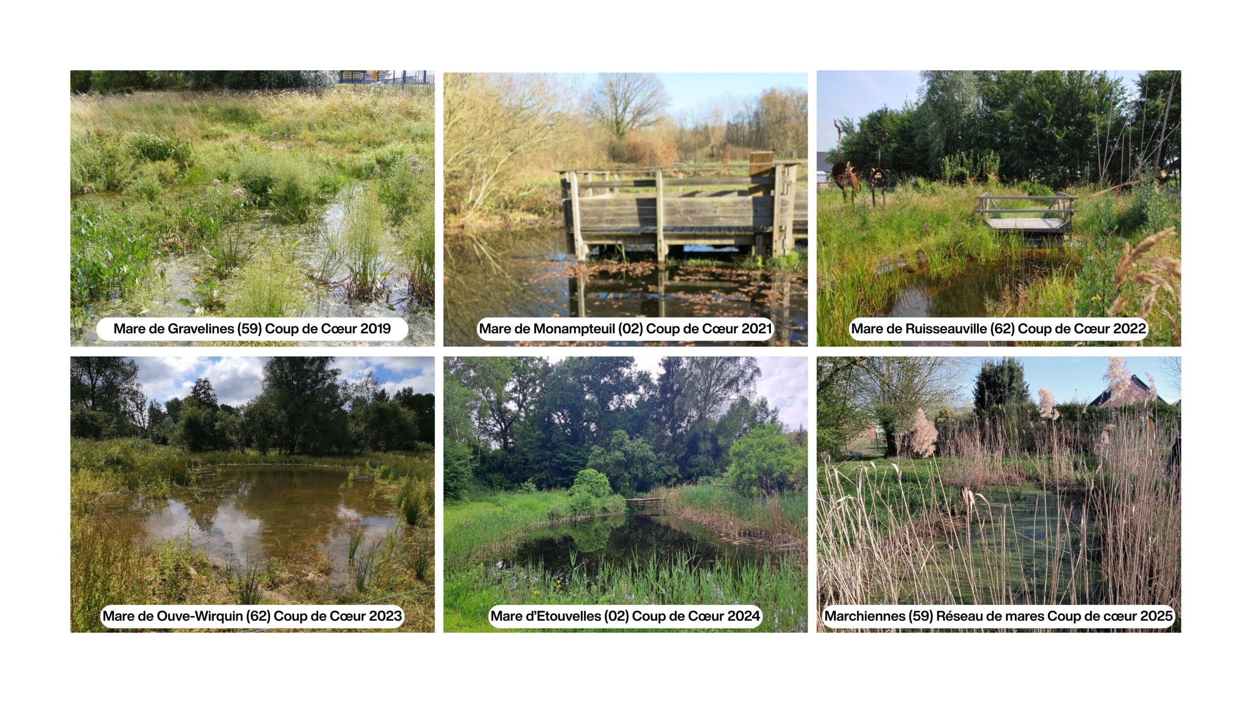 mares coup de coeur 2019 2025