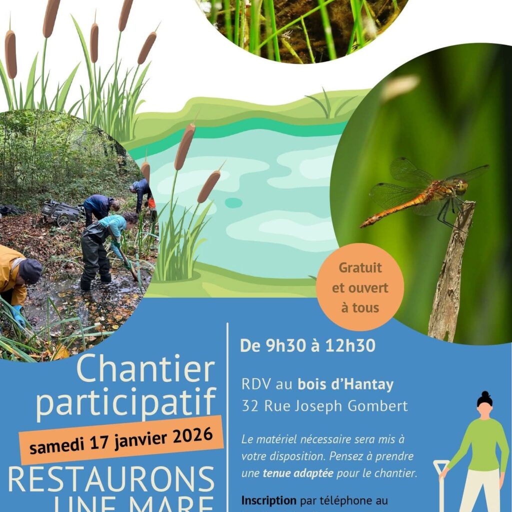 598883364 1363670282212068 4995646662331216680 n