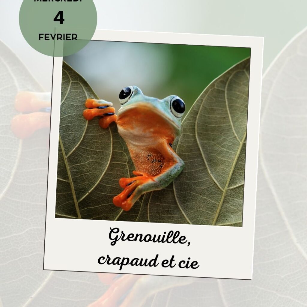 616084241 1210211264589020 8845813920055370676 n