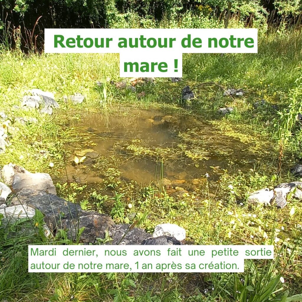 629302326 1332499562244751 8683589339930272170 n