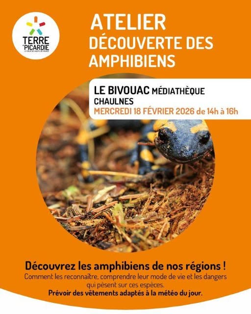 632570439 1294124596081954 1528957998369761910 n