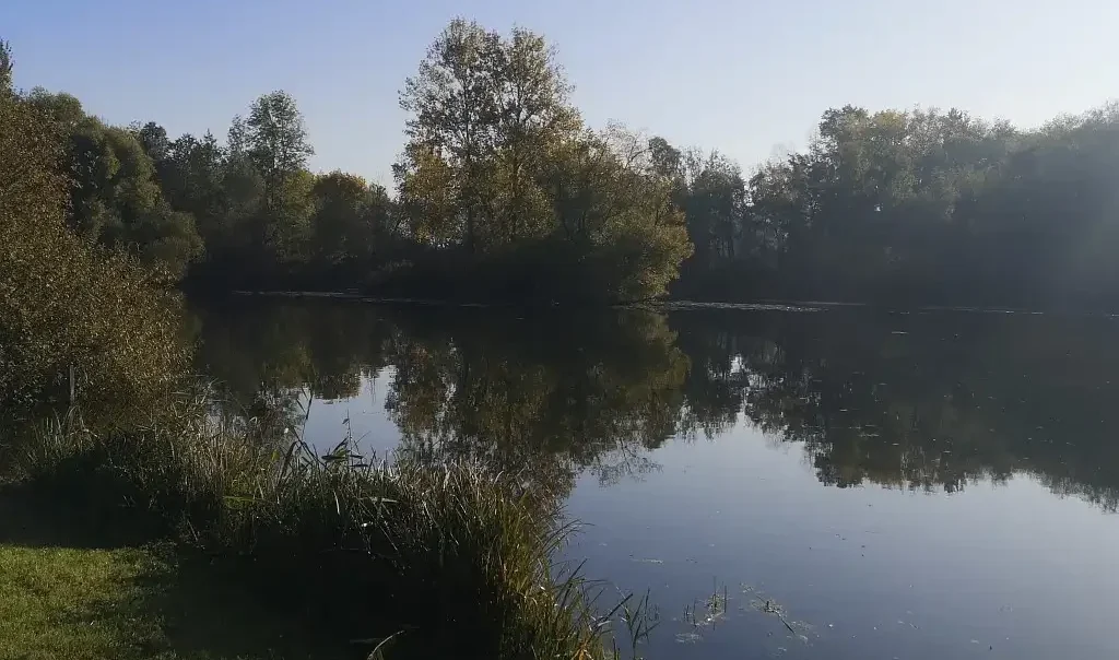 marais de rumaucourt pas de calais c. lambert cen hauts de france e1768902344357 rja3qz8ewckeq2icyz8u7cy27h3gaw9jcacmi6lndk