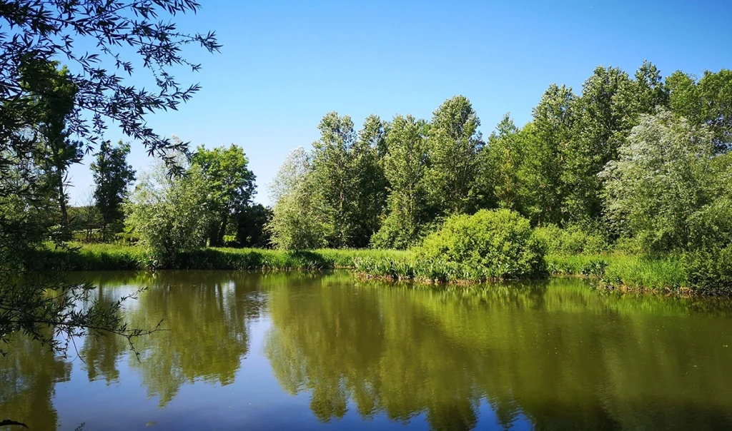 marais du planty 2 © m. drouglazet rja3trt57me38cg9nopx45kdrpbq6icte45kusgivs