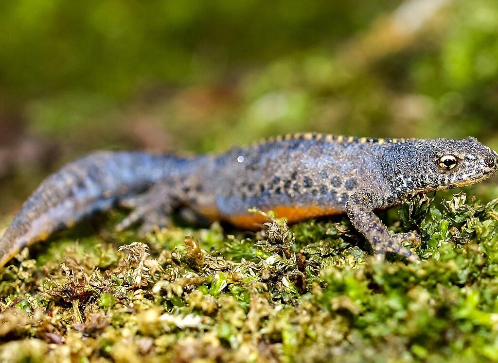 628351309 1359505086216296 8878970342990639571 n