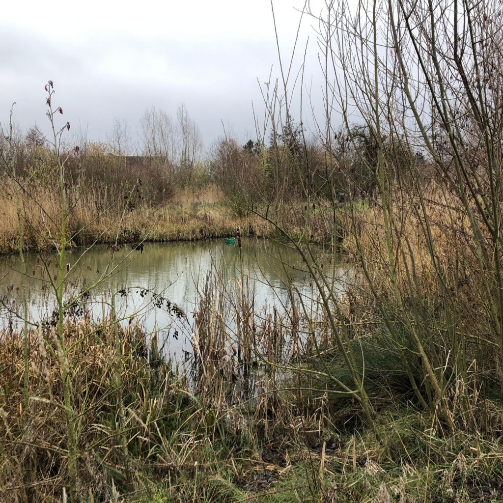 643356391 1353909260097726 4091672220536751198 n