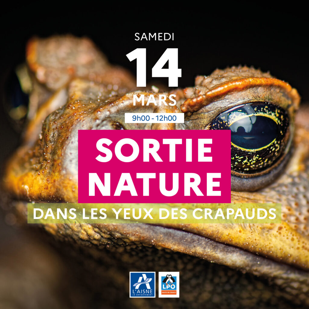 643928170 1377097367779335 4760090440725383995 n