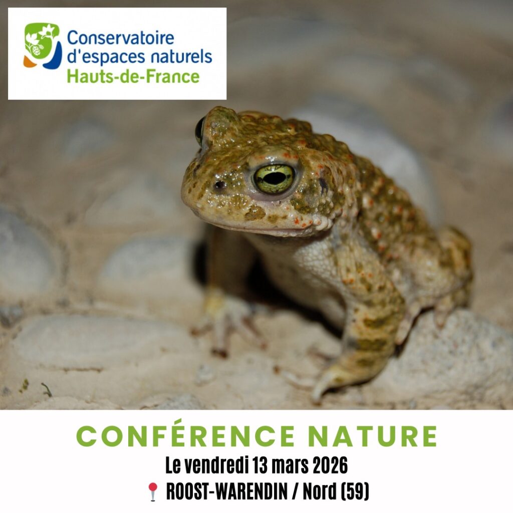 644352879 921003087245832 3999803478563790573 n